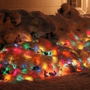 snow at night